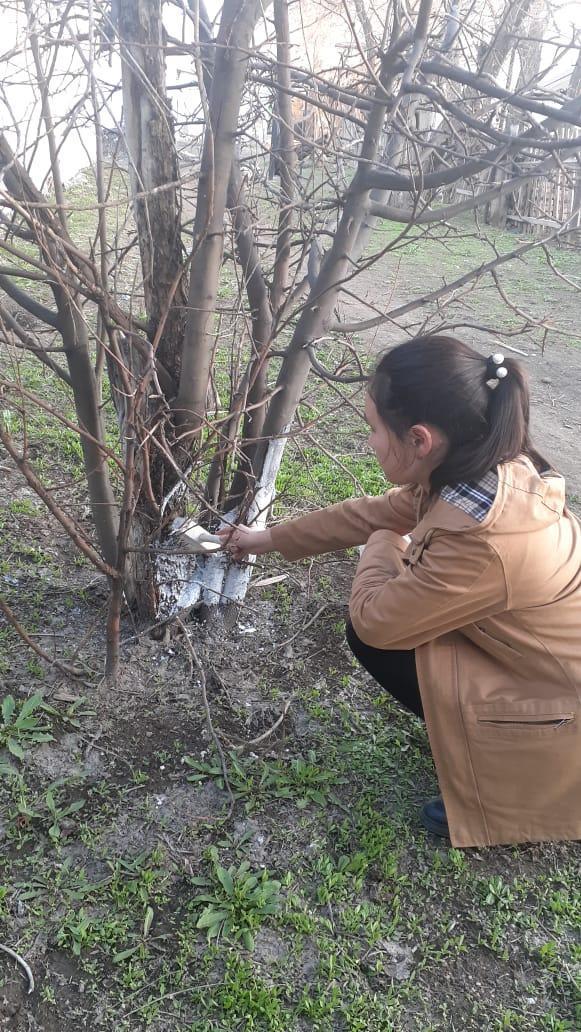 Тақырыбы «Экология — өмірдің соғып тұрған жүрегі!»  Мақсаты:  Schoolchildren қазіргі таңдағы адамзат баласының алдында тұрған экологиялық проблемелар туралы түсініктерін қалыптастыра отырып, экологиялық тәрбие беру. 9-сынып жетекшісі Омар М.